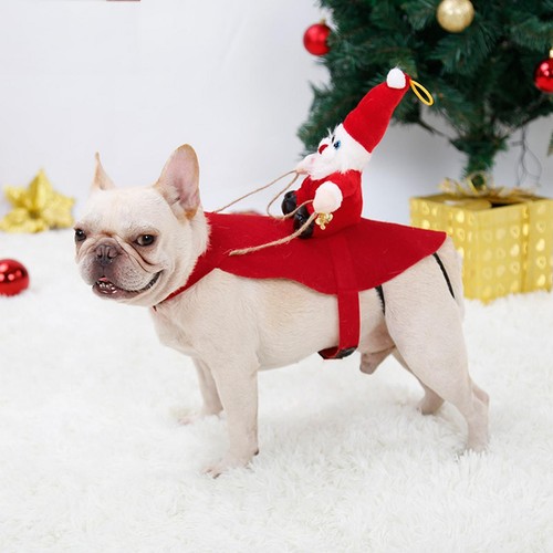 Santa dogs costume - santa, lightweight