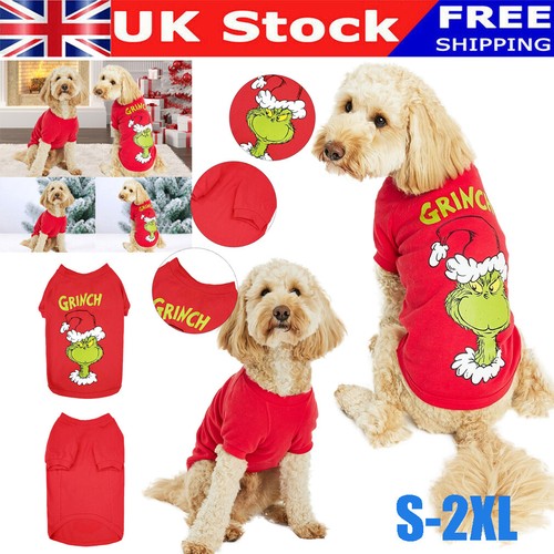 Pet dog puppy christmas - puppy,