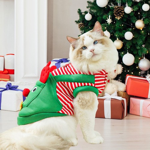 Christmas dog costume outfit - christmas,