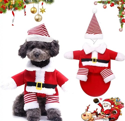 Christmas funny santa dog - santa,