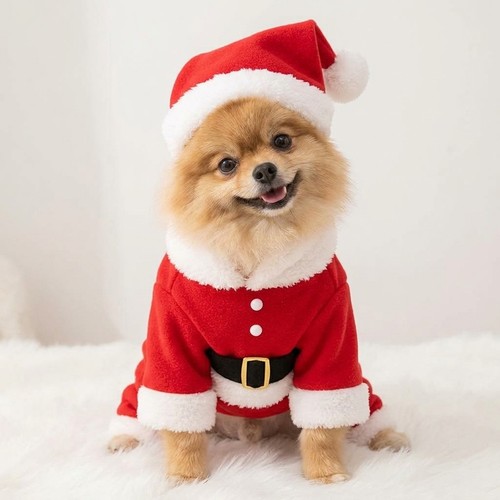 Santa claus holiday - holiday,