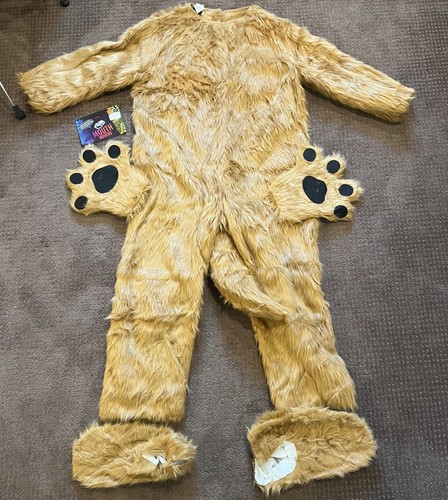Adult golden brown dog - golden, suit